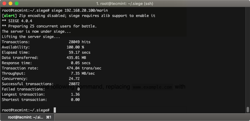 Web Server Load Testing with Siege