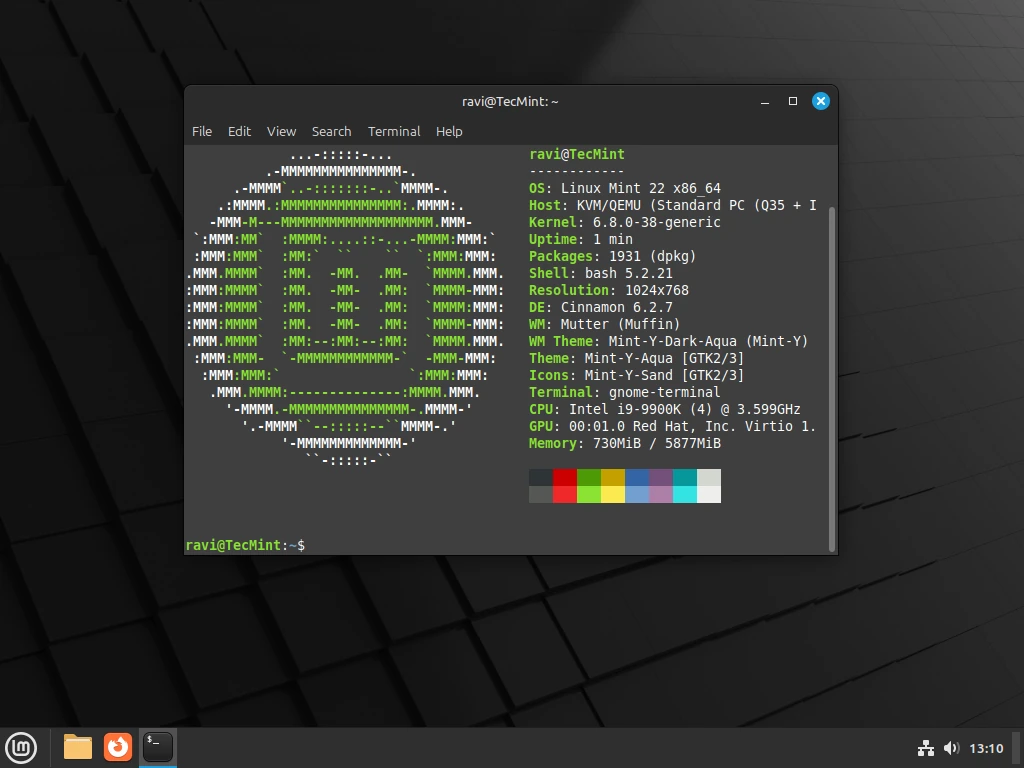 Linux Mint Information