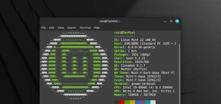 Linux Mint Cinnamon Installation